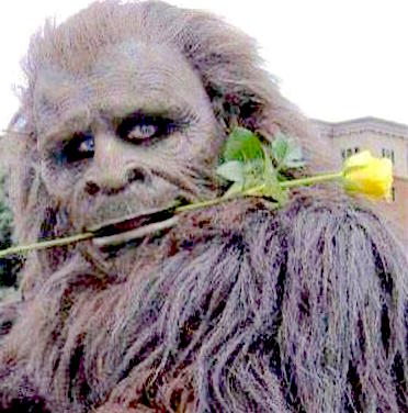 yeti bigfoot