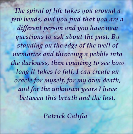 Patrick Califia quote writing erotic fiction