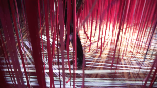 Pathless Woods photo by Adam Larsen