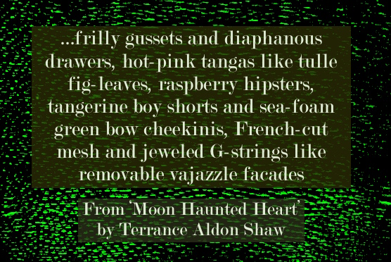 Terrance Aldon Shaw Moon-Haunted heart quote 3